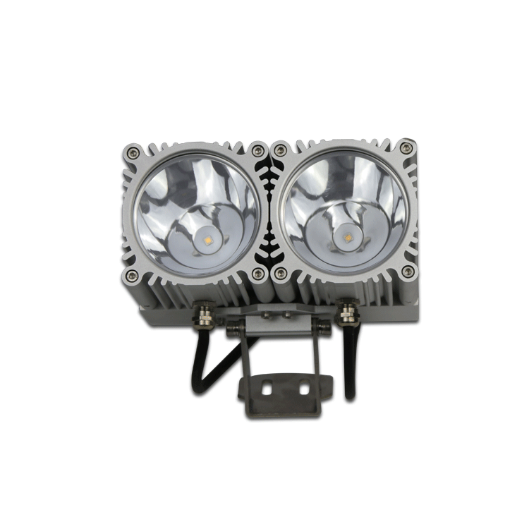 LED flood light JFTF85-A20-D2